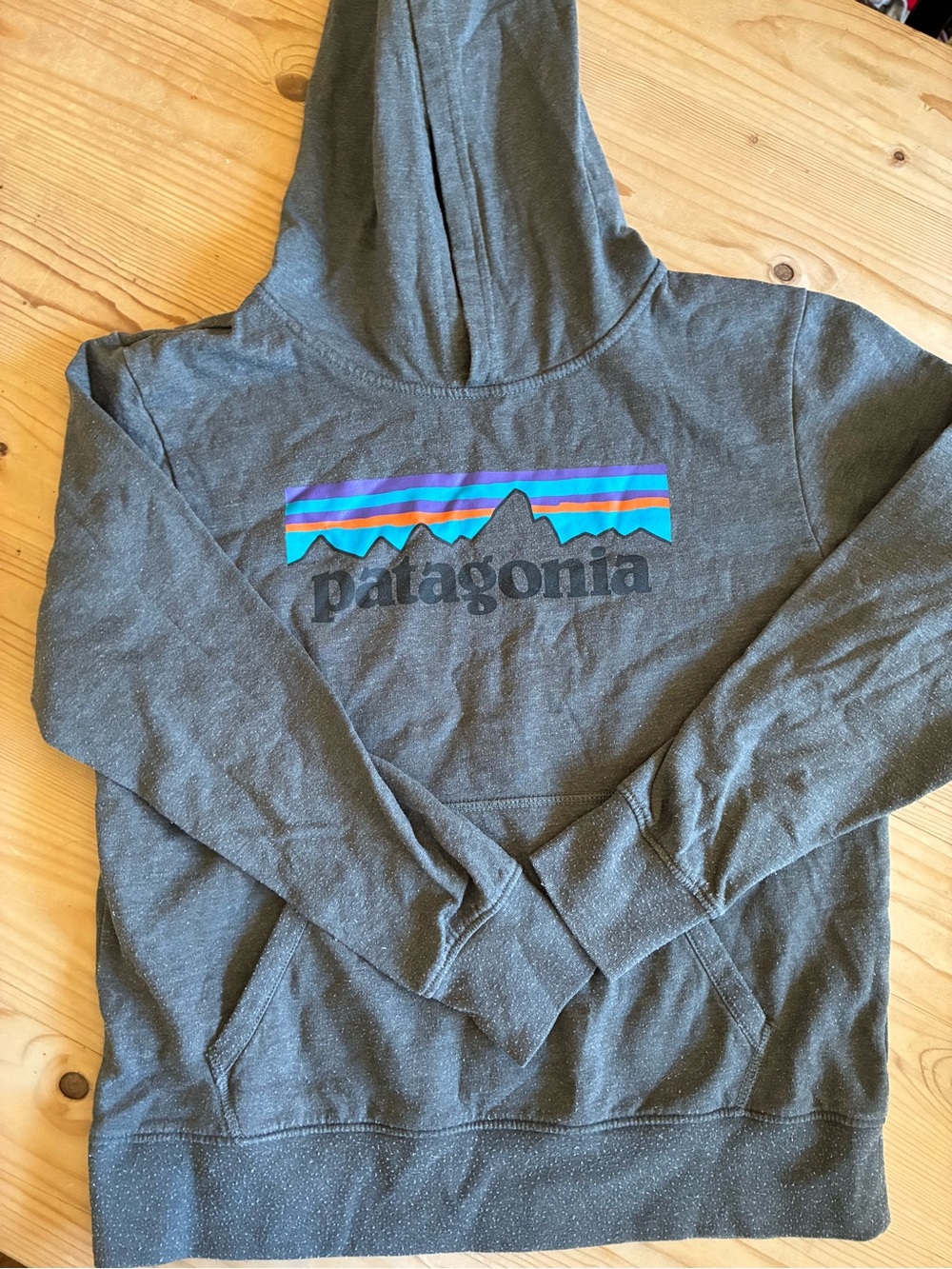 Patagonia Men's Crewneck Hoodie in Charcoal with Multicolor Logo
